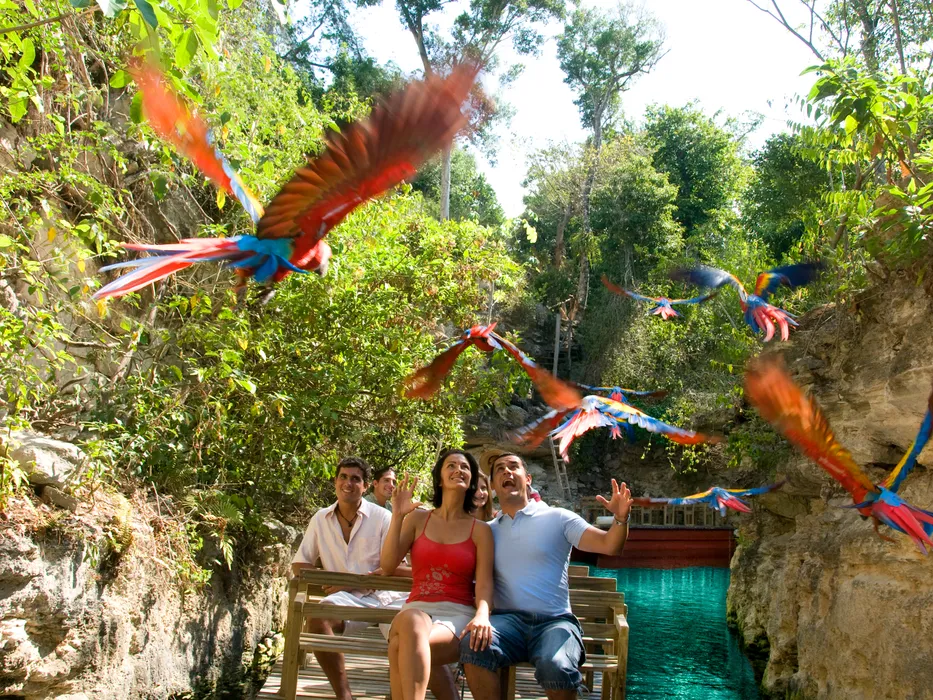 Familia disfrutando una experiencia en la Riviera Maya